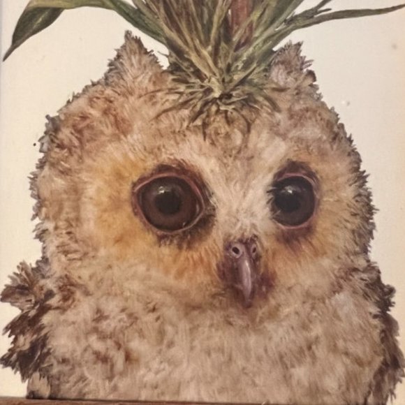 FRAMED Owl Print Mushroom Foliage Flowers Wooden Real Glass Boho Cottage 5" x 7" - Picture 2 of 6